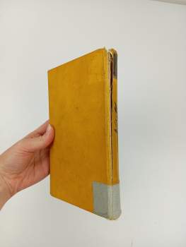 Karl May: Vinnetouův odkaz