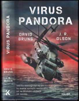 David Bruns: Virus Pandora