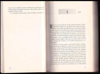 Estelle Maskame: Víš, že mi chybíš?