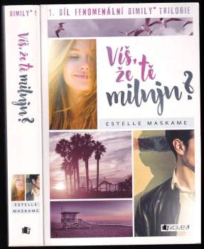 Estelle Maskame: Víš, že tě miluju?