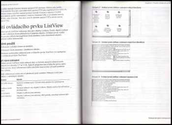 Visual Basic - Příručka programátora + Nástroje pro práci s komponentami + Objekty pro přístup k datům