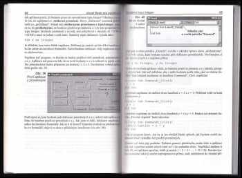 Petr Brant: Visual Basic pro začátečníky