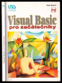 Visual Basic pro začátečníky