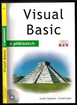 Visual Basic v příkladech