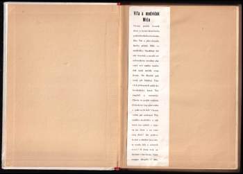 Ferdinand Blocký: Víťa a medvídek Míša