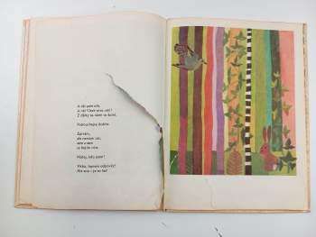 František Hrubín: Vítek hádá dobře