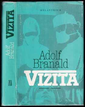 Vizita