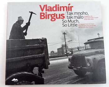 Vladimír Birgus: Tak mnoho, tak málo