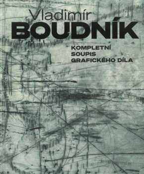 Vladislav Merhaut: Vladimír Boudník