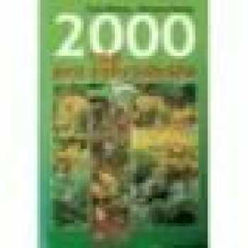 Vladimír Franz, obrazy