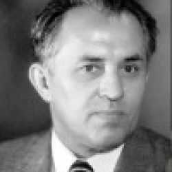Vladimir Pavlović