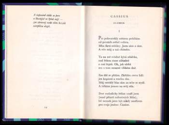 Karel Toman: Vlastní podobizna