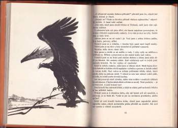 Rudo Moric: Vlci pod Babí horou