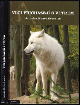 Vlci přicházejí s větrem