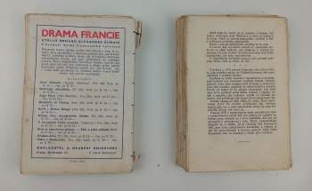 Alexandre Dumas: Vlčice z Machecoulu