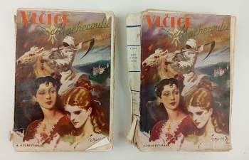 Vlčice z Machecoulu