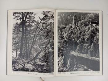 František Kožík: Vltava