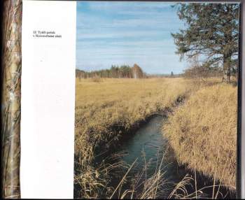 Ludvík Baran: Vltava