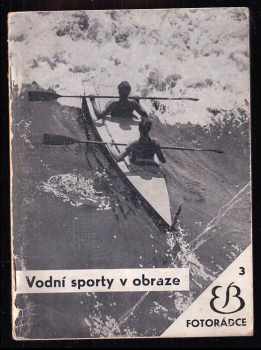 Vodní sporty v obraze