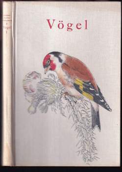 Vögel