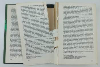 Lev Nikolajevič Tolstoj: Vojna a mír