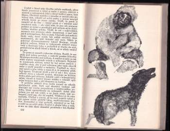 Jack London: Volání divočiny a povídky z Aljašky