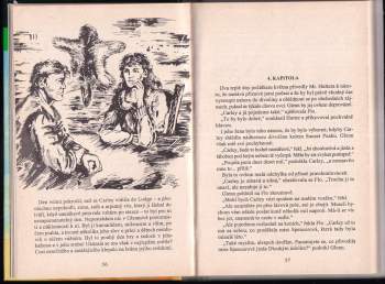 Zane Grey: Volání kaňonu