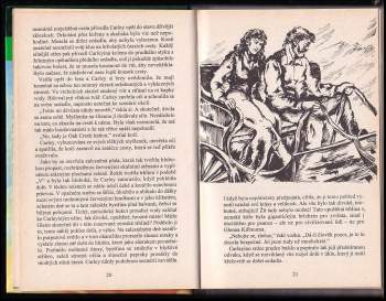 Zane Grey: Volání kaňonu