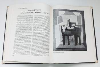 Vladimír Novotný: Volné směry - umělecký měsíčník - ročník XXVIII. - 1930 - 1931