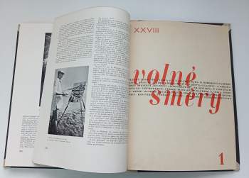 Vladimír Novotný: Volné směry - umělecký měsíčník - ročník XXVIII. - 1930 - 1931