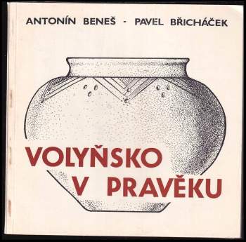 Pavel Břicháček: Volyňsko v pravěku