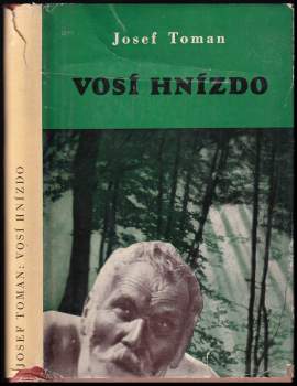 Vosí hnízdo