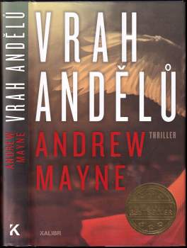 Andrew Mayne: Vrah andělů