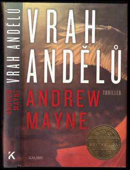 Andrew Mayne: Vrah andělů