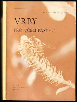 Vrby pro včelí pastvu