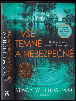Stacy Willingham: Vše temné a nebezpečné
