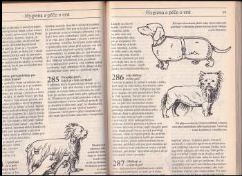 Helena Kholová: Všechno o psech