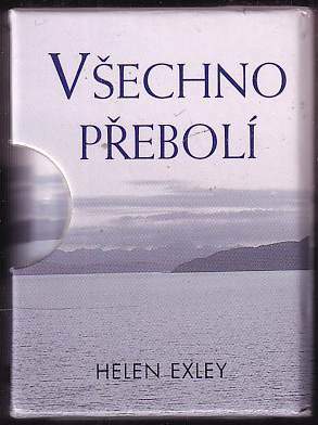 Všechno přebolí
