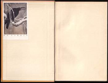 Nai'an Shi: Všichni lidé jsou bratři