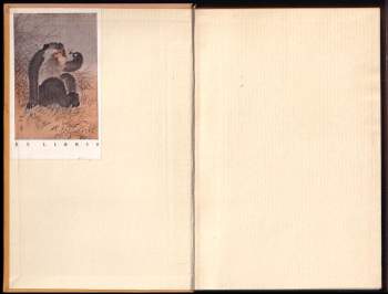 Nai'an Shi: Všichni lidé jsou bratři