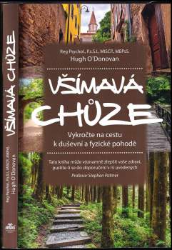 Všímavá chůze