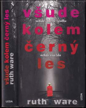 Všude kolem černý les