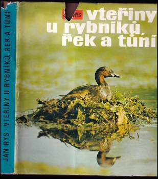 Vteřiny u rybníků, řek a tůní