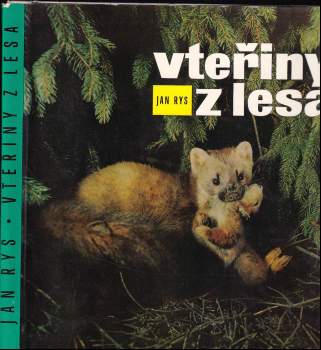 Vteřiny z lesa