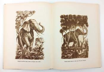 Dhan Gopal Mukerji: Vůdce stáda