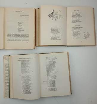 Aleksandr Sergejevič Puškin: Výbor z díla