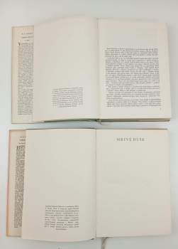 Nikolaj Vasil'jevič Gogol‘: Výbor z díla