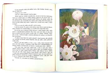 Hans Christian Andersen: Vybrané Andersenovy pohádky