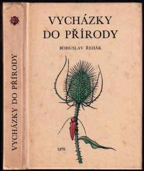 Vycházky do přírody