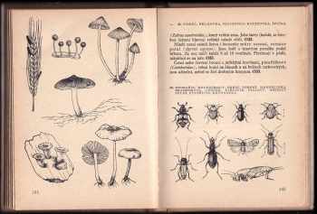 Bohuslav Řehák: Vycházky do přírody